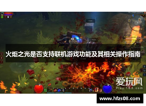 火炬之光是否支持联机游戏功能及其相关操作指南 火炬之光是否支持联机游戏功能及其相关操作指南